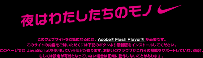 このウェブサイトをご覧になるには、Adobe(R) Flash Player(R)が必要です。